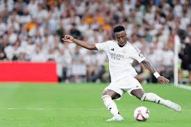 提供了许多 提供了许多